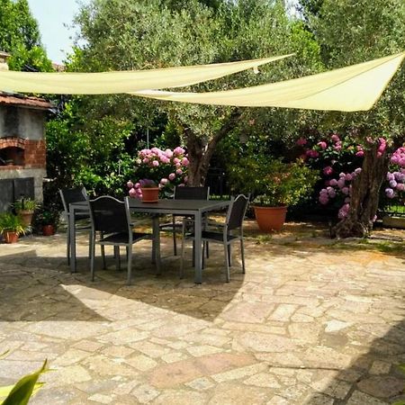 A Casa Di Leda Apartment Sarzana Ngoại thất bức ảnh